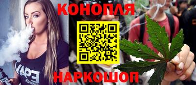 прущие грибы Комсомольск-на-Амуре