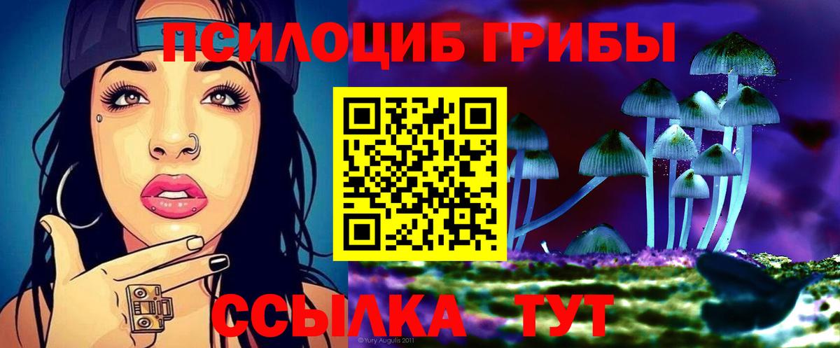 Галлюциногенные грибы прущие грибы  Псилоцибиновые грибы Psilocybine cubensis  Киров  Вход с VPN 