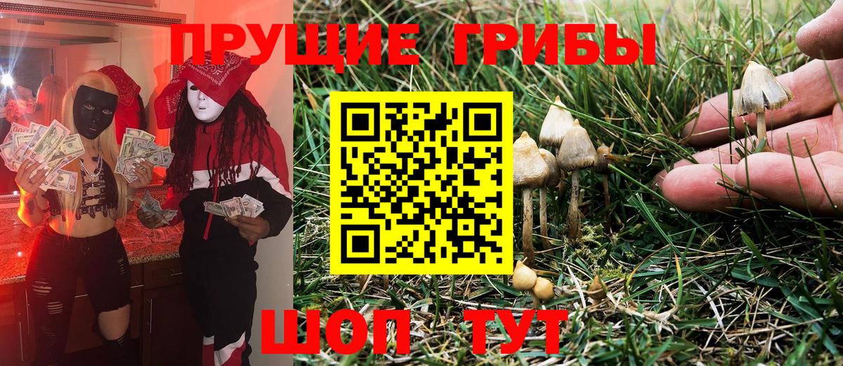 Меф МЯУ МЯУ  Киров  АМФ   MDMA  Кокаин  Вход с VPN  Гашиш  МЕФ   Бошки Шишки 